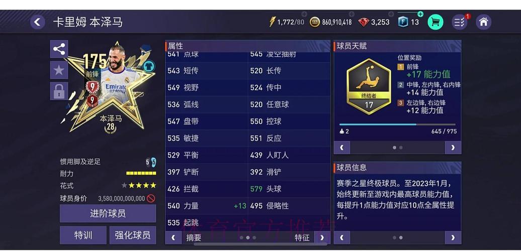 世界杯投注指南：从新手到专家秘籍