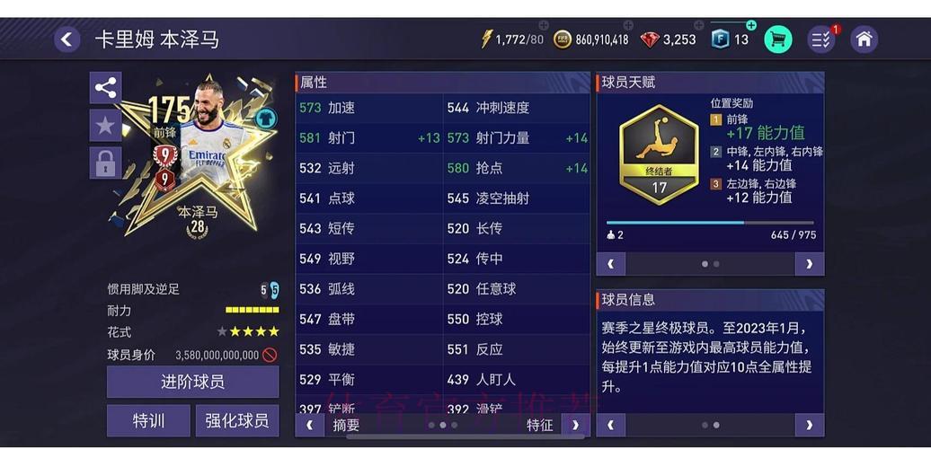 世界杯投注指南：从新手到专家秘籍
